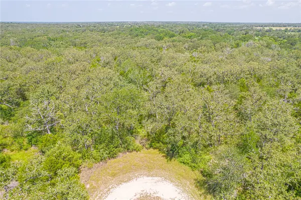 110/111 Hardwood Lane, Somerville, TX 77093