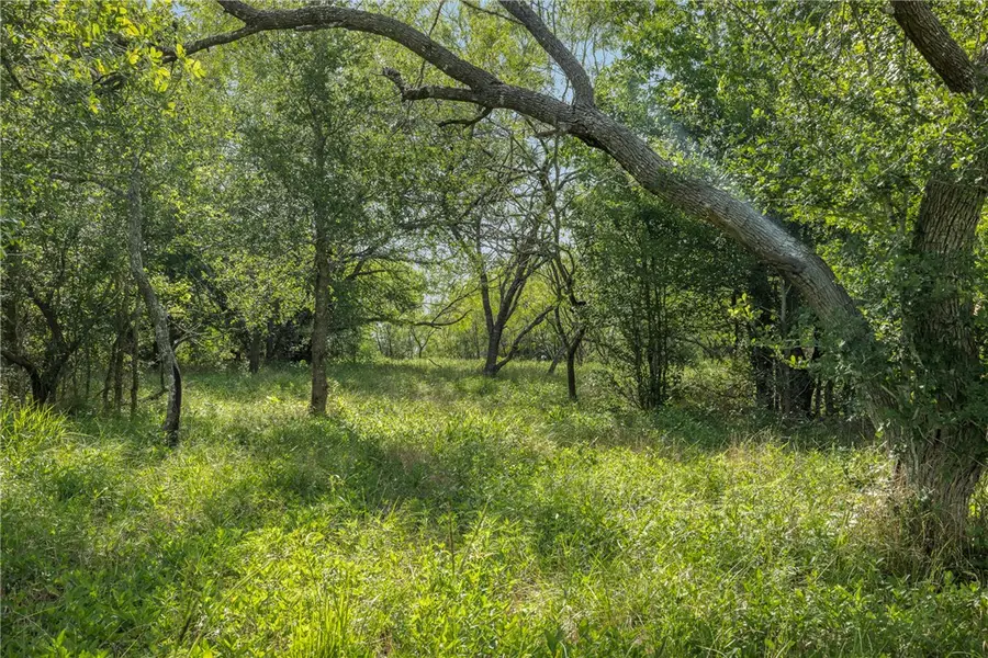 4024 Hollow Court, College Station, TX 77845 - Image #3