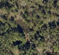 3634 Luthe Road, Bedias, TX 77831 - Image #1