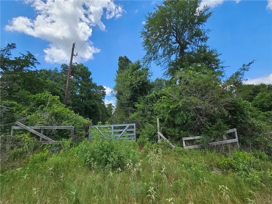3634 Luthe Road, Bedias, TX 77831 - Image #3