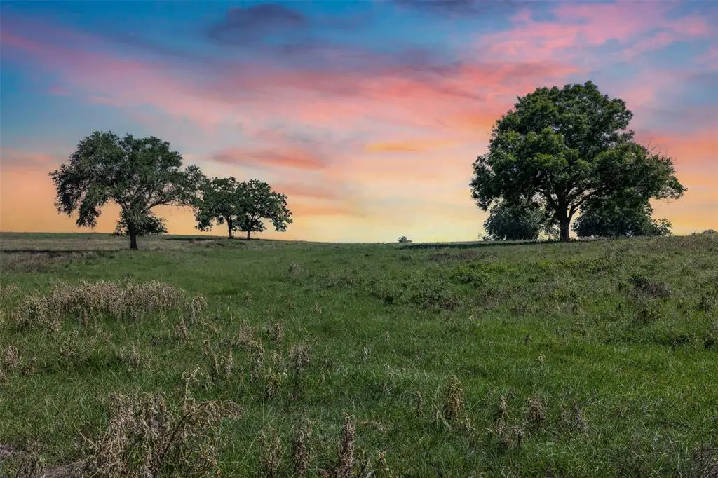 6550 Gibbs Creek Road, Chappell Hill, TX 77426 - #1