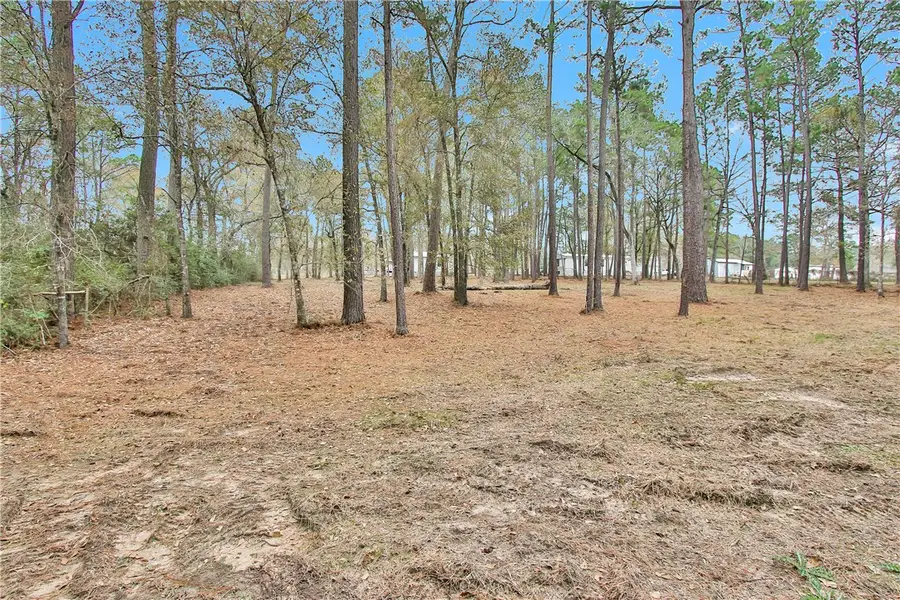 Split B 4794 Tall Pine Road, Navasota, TX 77868 - Image #3
