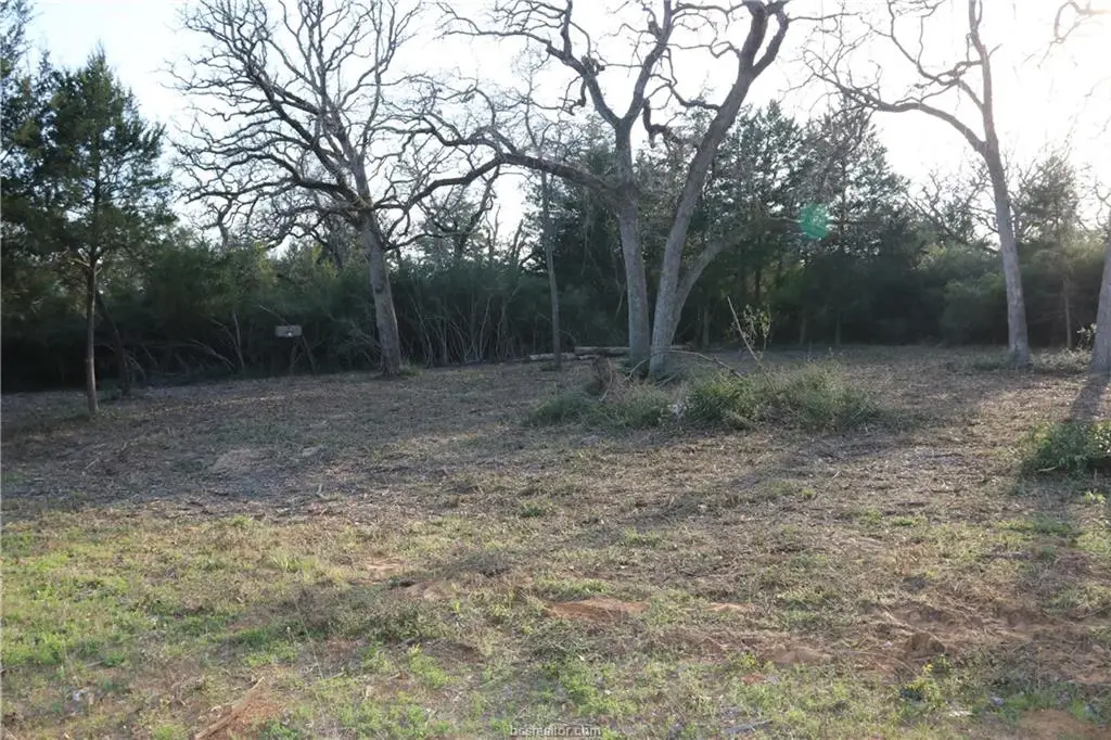 TBD Selling 5 Lots Together, Hilltop Lakes, TX 77871 - Image #1