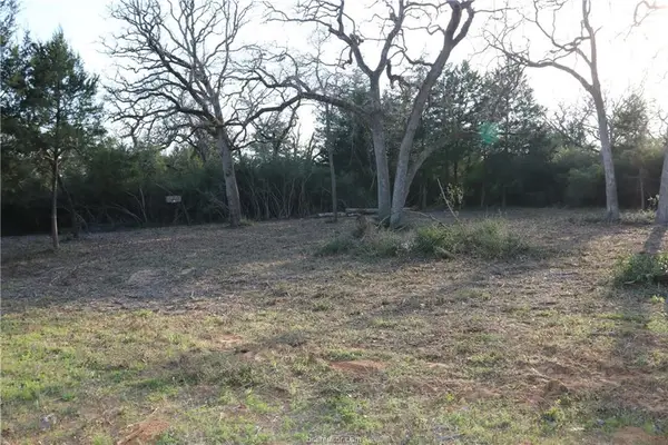 TBD Selling 5 Lots Together, Hilltop Lakes, TX 77871