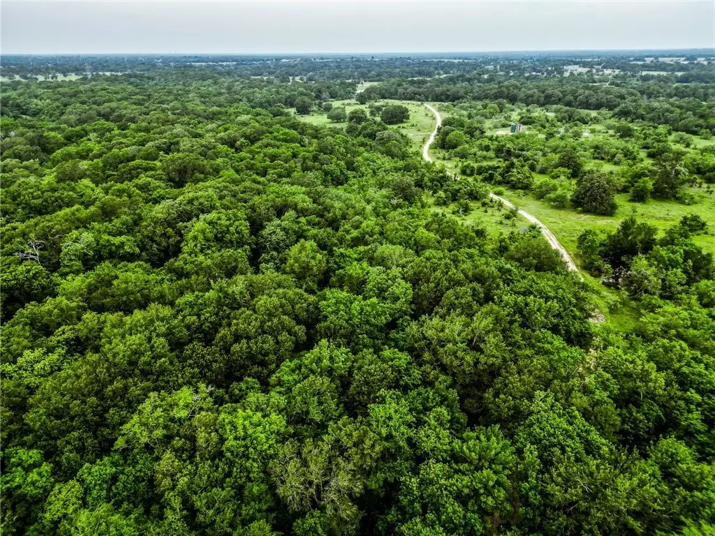 6572 Bethel Cemetery Road Road, North Zulch, TX 77872 - Image #1