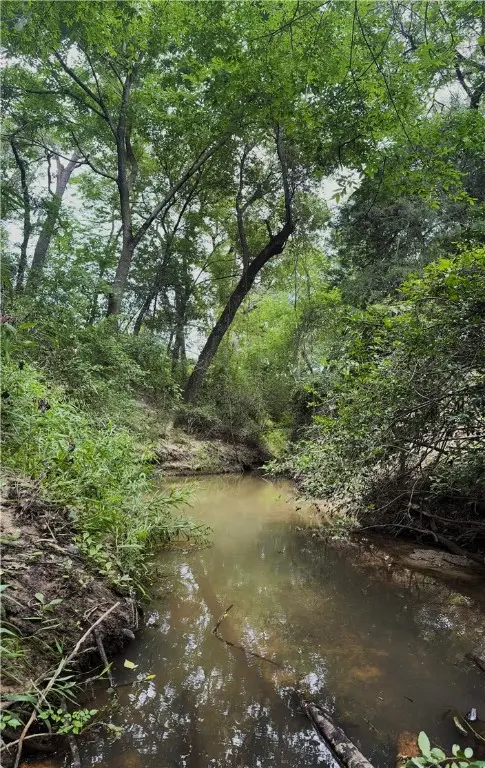 7123 West Boone Prairie Road, Franklin, TX 77856 - Image #2