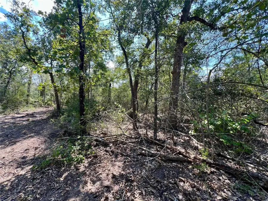 531 Moss Oak Drive, Somerville, TX 77879 - #2