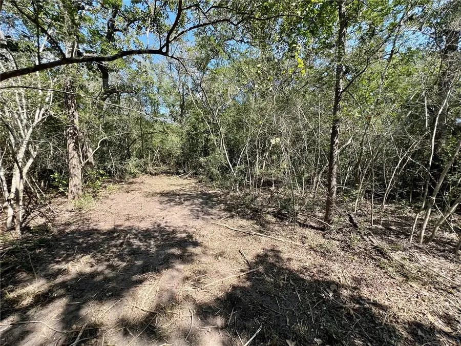 531 Moss Oak Drive, Somerville, TX 77879 - #3