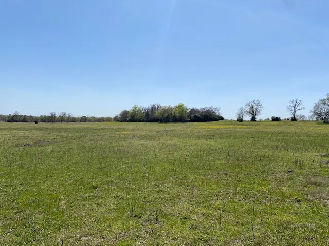 TBD Pleasant Grove Road, Iola, TX 77861 - Image #3