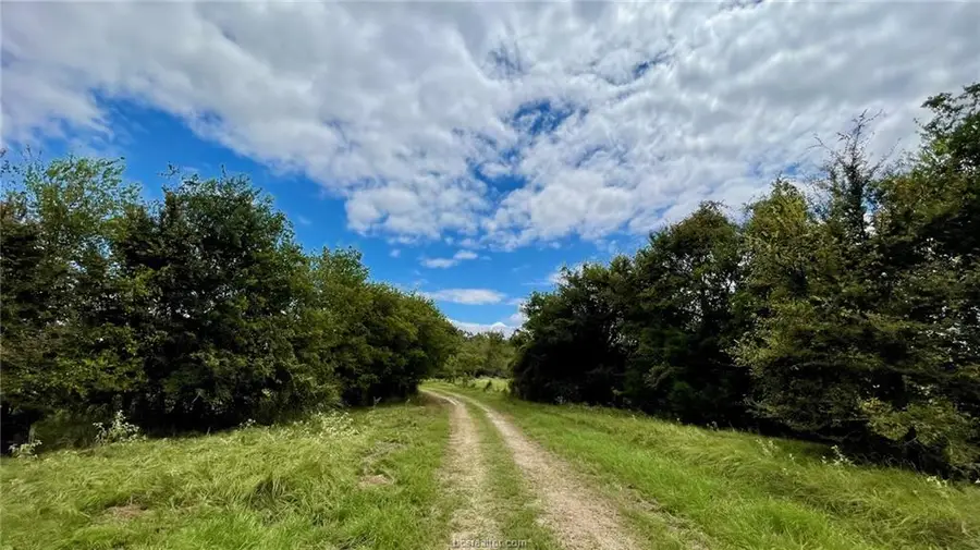 3871 Webb Cemetery Rd (+/- 53.738 Ac), Calvert, TX 77837-8106 - Image #3