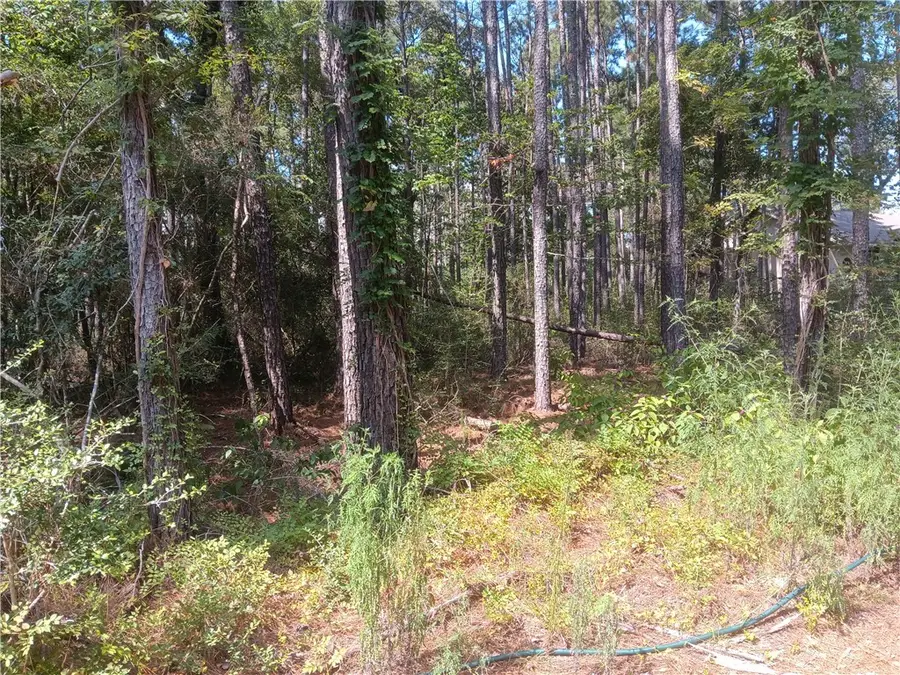 LOT 17 & 18 Honey Locust Lane, Plantersville, TX 77363 - #2