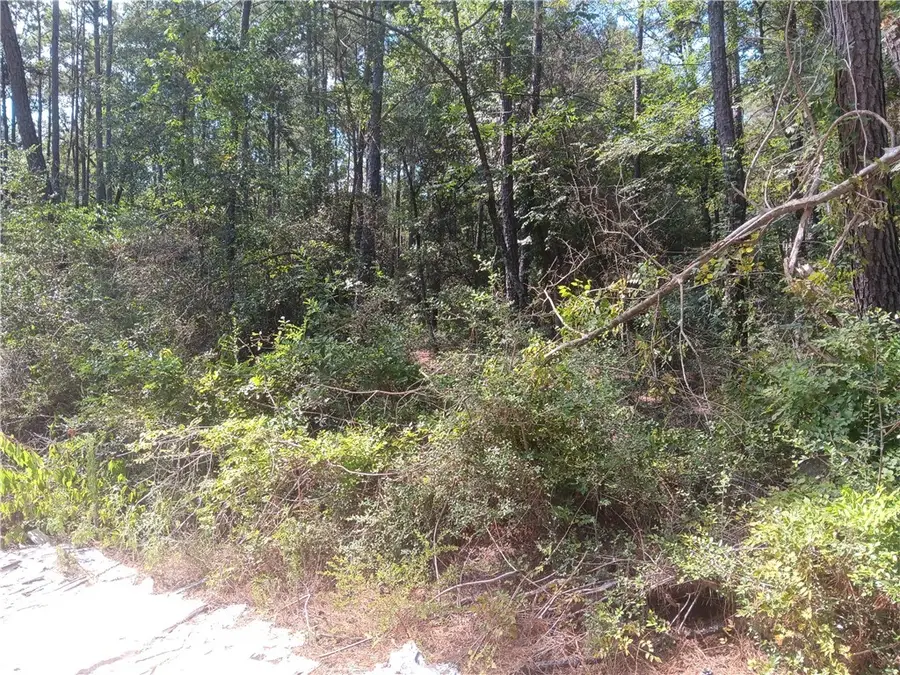 LOT 17 & 18 Honey Locust Lane, Plantersville, TX 77363 - #3