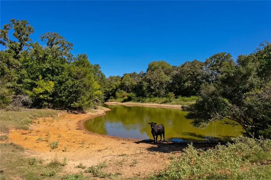 11041 Jackrabbit Lane, Bryan, TX 77808 - #3