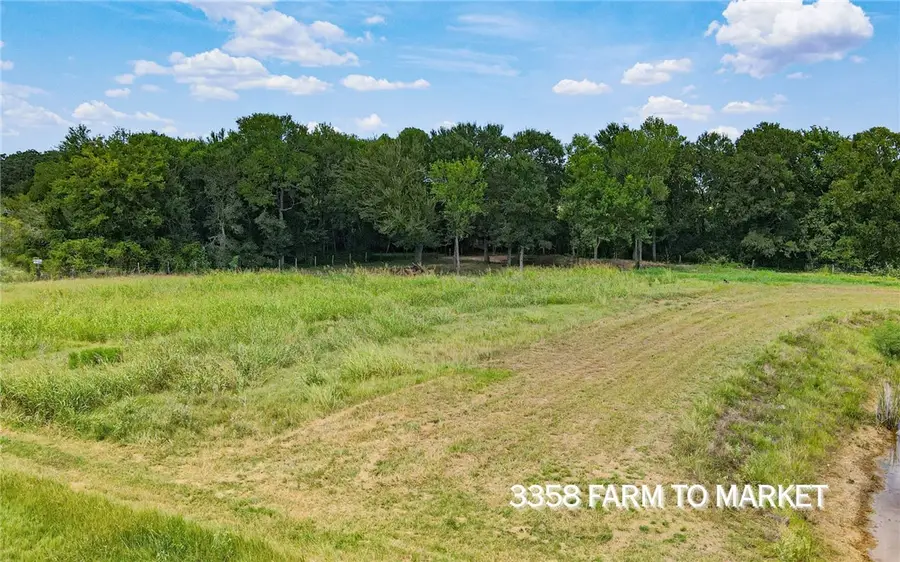 3358 Fm 166 (+/-54 Acres), Caldwell, TX 77836 - Image #3