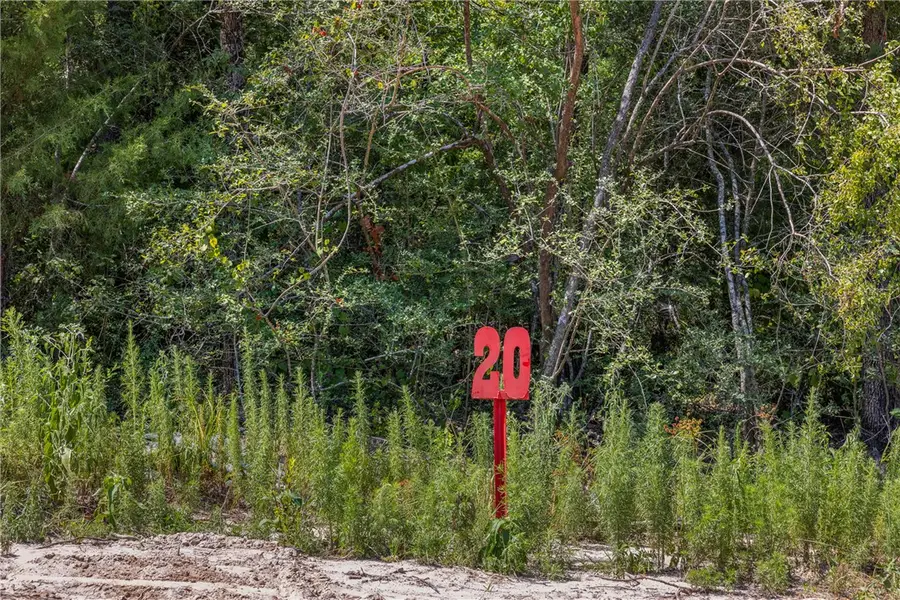 Lot #20 Sunny James Lane, Franklin, TX 77856 - Image #3