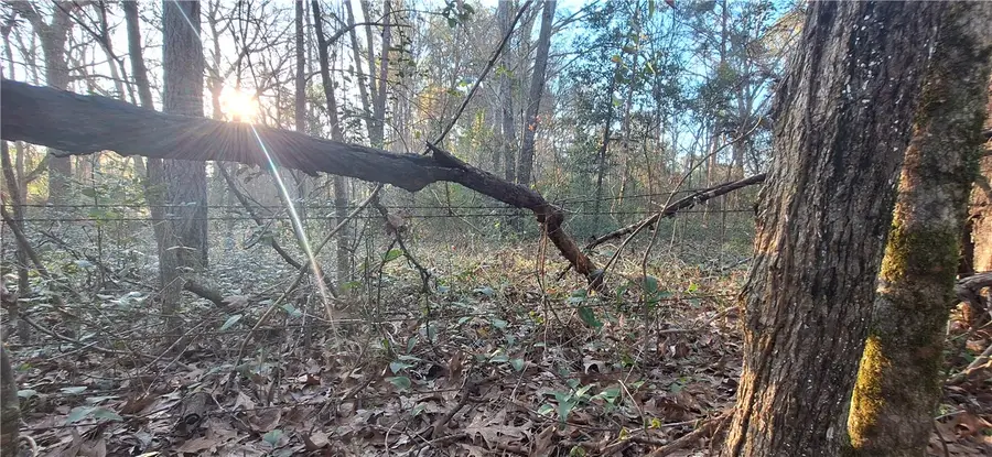 TBD County Road 1655, Grapeland, TX 75844 - Image #3