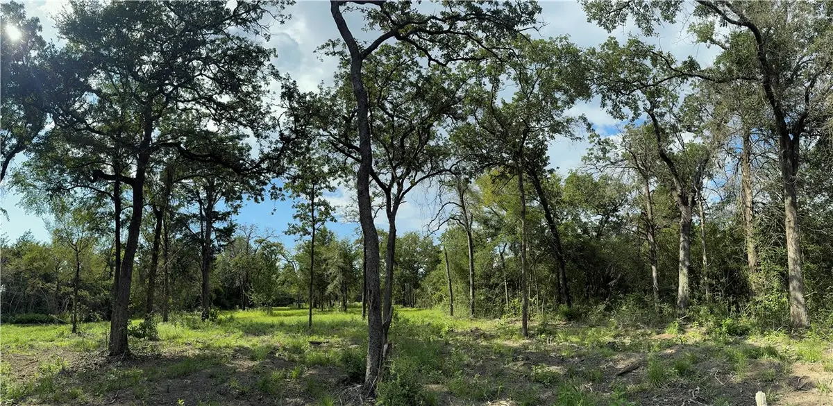 TBD E Bell Lane, Franklin, TX 77856 - Image #1