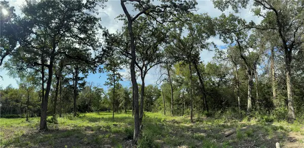 TBD E Bell Lane, Franklin, TX 77856