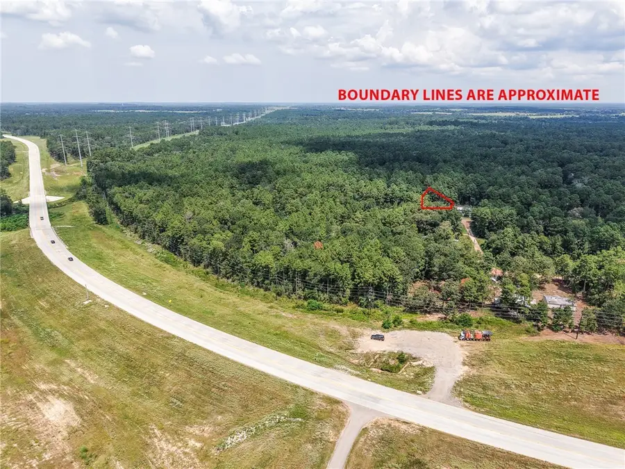 TBD Smokethorn Lane, Plantersville, TX 77363 - #2