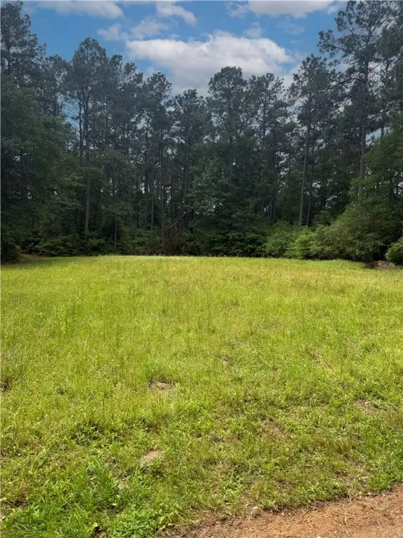 TBD Lone Star Road, Navasota, TX 77868 - #3