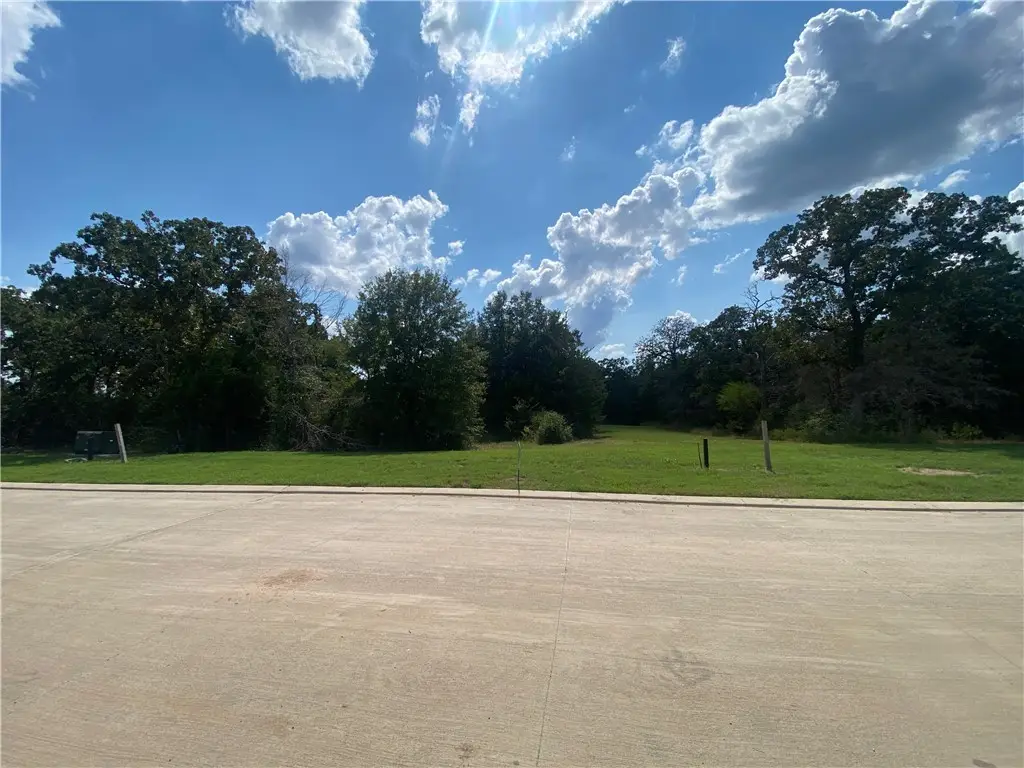 1718 Hidalgo Pass Court, College Station, TX 77845 - Image #1