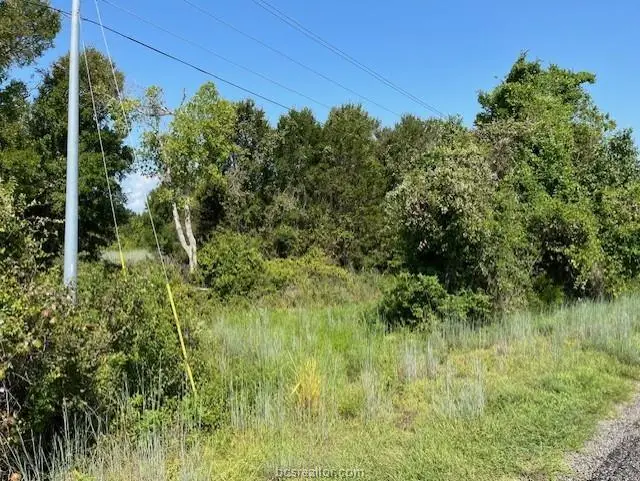 TBD Lasalle, Navasota, TX 77868 - Image #3