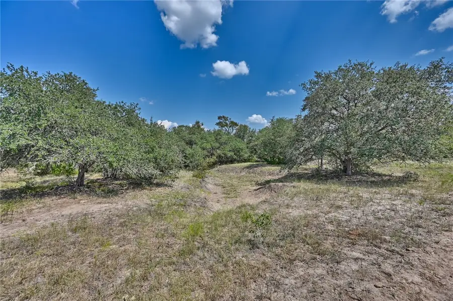 TBD(+/-237.91 AC) Hwy 36 S, Caldwell, TX 77836 - Image #2