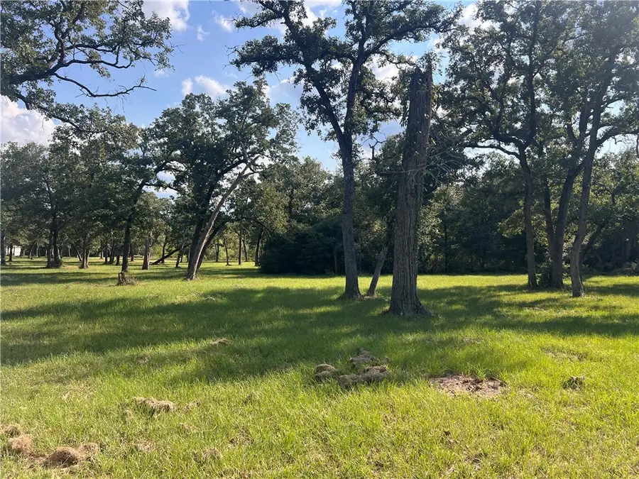1.921 AC Cardinal Road, Caldwell, TX 77836 - Image #2
