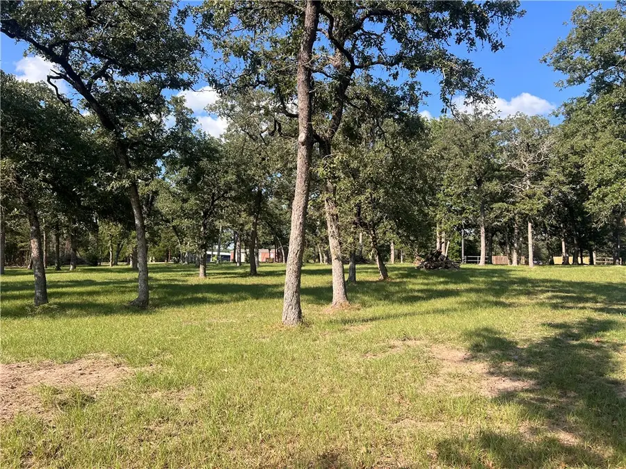 1.921 AC Cardinal Road, Caldwell, TX 77836 - Image #3