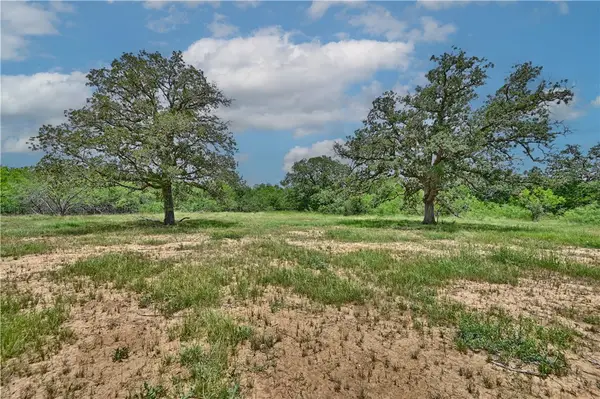 159 Starlight Path, Other, TX 78662