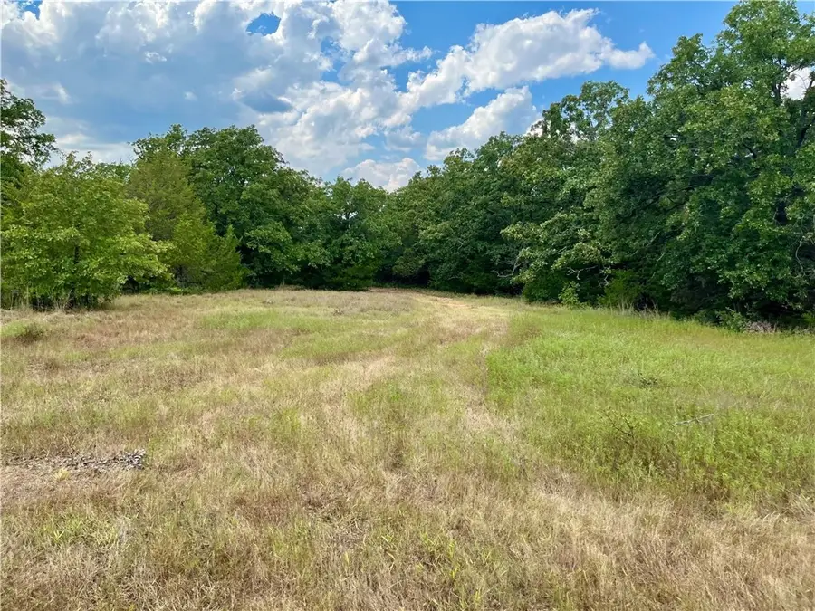 Lot 170 Lcr 800, Groesbeck, TX 76642 - Image #2