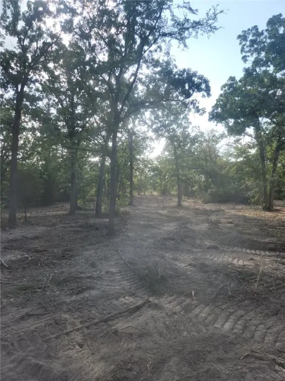 13319 Tyler Ln, Franklin, TX 77856