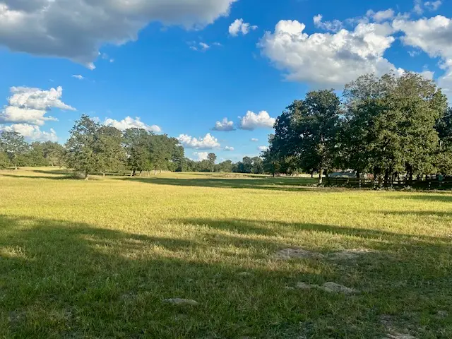 6335 Pr 4030, Normangee, TX 77871 - Image #2