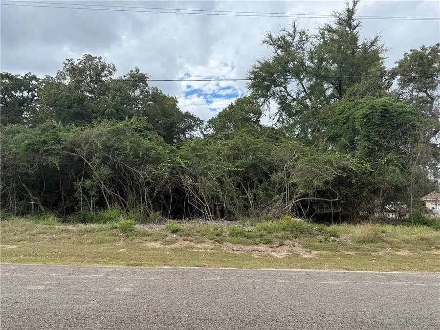 TBD N Golfview Drive, Normangee, TX 77871 - Image #2