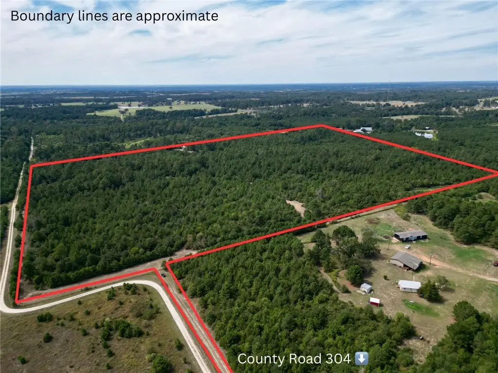 TBD County Road 304, Navasota, TX 77868 - #1