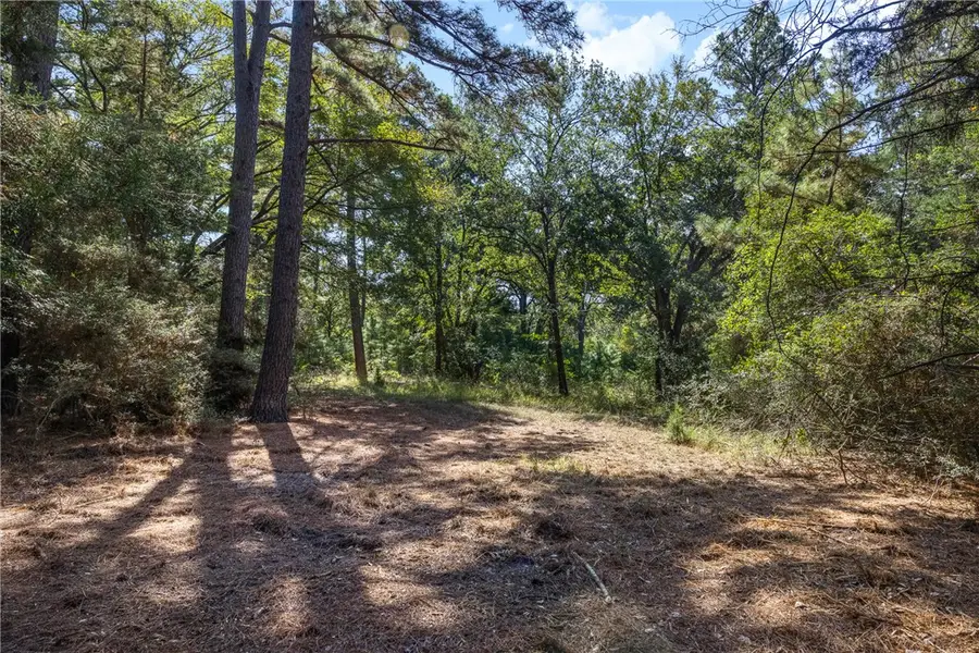 Tract 2 TBD Farm To Market 1940, Franklin, TX 77856 - #2
