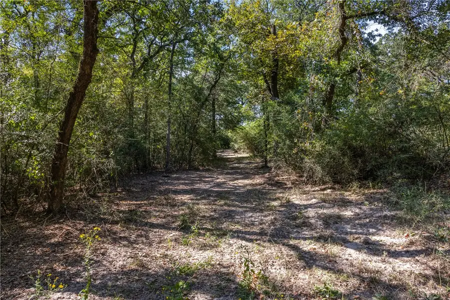 Tract 2 TBD Farm To Market 1940, Franklin, TX 77856 - #3