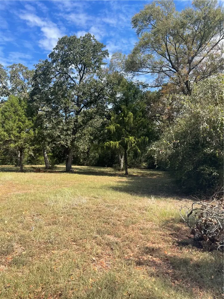 11971 Vista Oaks Lane, Hearne, TX 77859 - Image #2