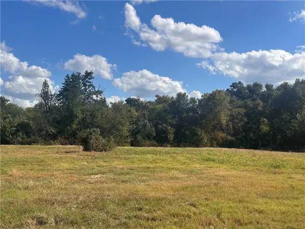 253 Dewey Ln, Franklin, TX 77856