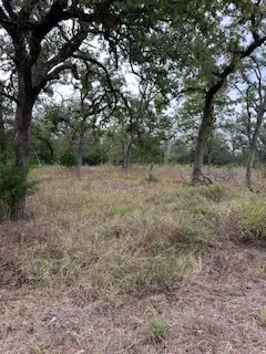 244 Orange, Somerville, TX 77879-4557 - Image #3