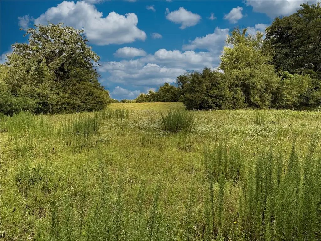 TBD E Old Hickory Grove Road Co Ne Countyroad Ne, Franklin, TX 77856 - Image #1