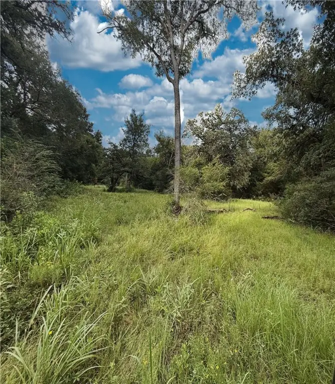 TBD E Old Hickory Grove Road Co Ne Countyroad Ne, Franklin, TX 77856 - Image #2