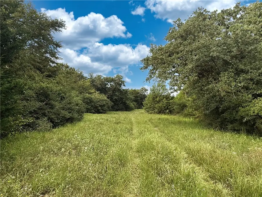 TBD E Old Hickory Grove Road Co Ne Countyroad Ne, Franklin, TX 77856 - Image #3