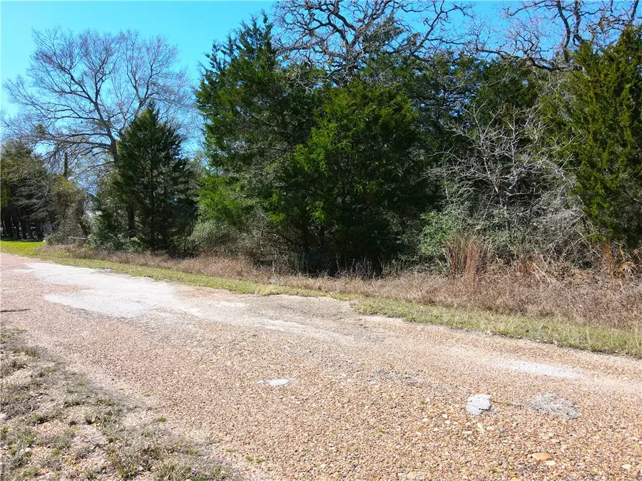 1005 Wildberrry Road, Somerville, TX 77879 - Image #2
