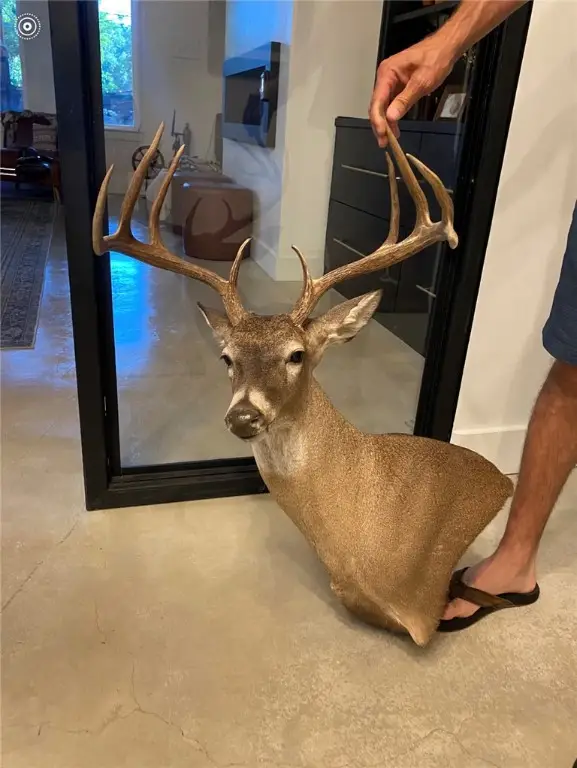 165 Acres Turner Ln, Franklin, TX 77856 - Image #2