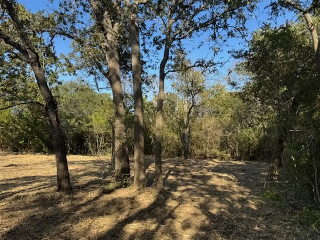 TBD Sweed Road, Washington, TX 77880 - #1