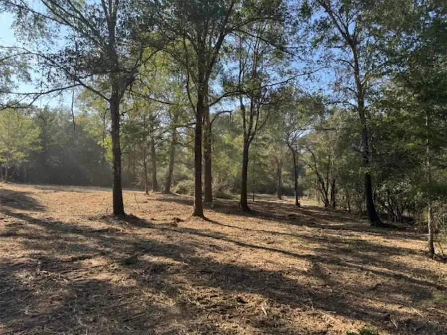 TBD Sweed Road, Washington, TX 77880 - #2