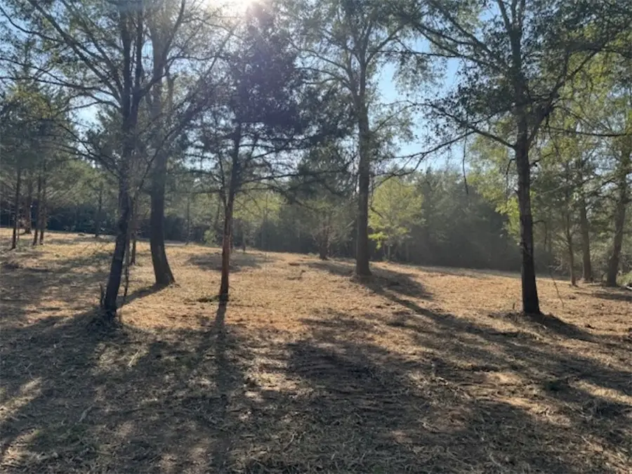 TBD Sweed Road, Washington, TX 77880 - #3