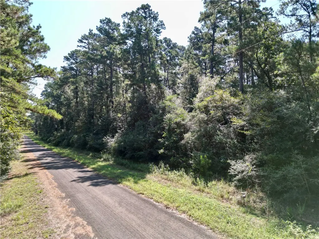 TBD Pavlock Road, Navasota, TX 77868 - #1