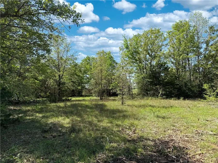 12538 S E B Watson County Road Se, Bremond, TX 76629 - Image #3